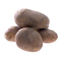 Solanum tuberosum - Potato 'Frieslander'
