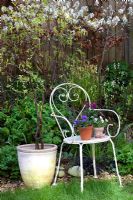 Spring containers on classic garden chair 