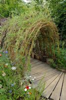 Living willow tunnel with wooden pathway