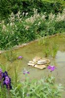 Eco bathing pool with marginal planting 