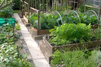 Vegetable plot in cottage garden, with an arrangement of raised beds and supports 