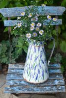 Michaelmas daisies in enamel jug on blue chair