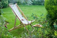 Old deck chair on lawn. Allium sphaerocephalon in border