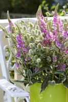 Summer bouquet with Eryngium and Physostegia
