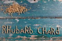 Rhubarb chard seeds
