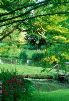 Natural spring-fed ponds in country garden
