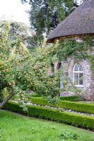 Flint and thatched gazebo in Orchard with Apple Crawley Reinette tree - West Dean, Sussex