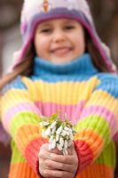 Girl in striped jumper holding Snowdrops