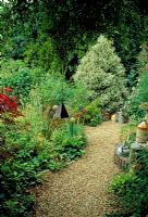Gravel path through borders packed with interest including various shrubs, wild flowers, Acer and 'objets trouve'. Backdrop of mature hollies.  Five Oaks Nursery, West Burton, West Sussex.
