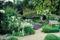 A gravel garden, with wooden garden bench, with a number of small perennial beds edged in red brick with Buxus.  Predominantly white and blue planting spilling over paths