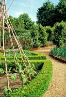 A charming potager using raised beds and gravel paths. Beds lined with low box hedging. Vegetables, fruit, flowers and roses all used to give varied and complex effect.