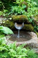 Water feature in woodland garden 