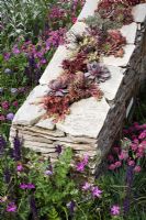 Drystone insect habitat walls planted with Sempervivums 