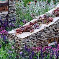 Sculptural dry stone wall planted with sempervivum 