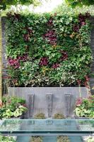 Vertical living wall and water feature 