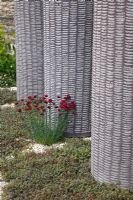 Planting of Dianthus cruentus and Acaena at the base of sculpted stone columns in sunken area 