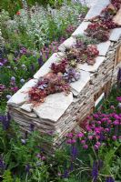 An insect haven habitat drystone wall 