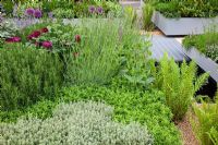 A herb garden in raised beds 
