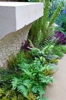 Shade loving plants including Ferns and Erica - Heather planted below an overhang in a York stone garden wall. 'The Art of Yorkshire garden', sponsored by Welcome to Yorkshire - RHS Chelsea Flower Show 2011