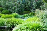 Mounds of clipped Buxus - Box planted with Carex -Ornamental grasses in 'The Irish Sky Garden' - Gold Medal Winner, RHS Chelsea Flower Show 2011 
