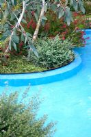 Blue painted pool with Eucalyptus - 'The Australian Garden presented by the Royal Botanic Gardens Melbourne' - Gold Medal Winner, RHS Chelsea Flower Show 2011 