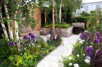 Path through borders of Alliums and Alchemilla in the 'RNIB Garden' - Silver Gilt Medal Winner, RHS Chelsea Flower Show 2011 