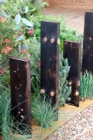 Recycled timber used as an informal fence with mediterranean style planting - 'A Monaco Garden' - Gold Medal Winner, RHS Chelsea Flower Show 2011 
