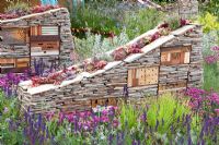 Sculptural dry stone walls with built-in insect hotels planted with Sempervivums - Houseleeks and surrounded by Armeria maritima and Salvia in 'The Royal Bank of Canada with the RBC New Wild Garden' - Silver Gilt Medal Winner, RHS Chelsea Flower Show 2011