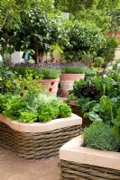 Potager with Lactuca sativa - Lettuce, Petrosellinum crispum - Parsley and Tuilpa 'Jan Reus' in raised bed with woven willow edging - 'The M and G Investments Garden', Silver Gilt Medal Winner, RHS Chelsea Flower Show 2011 
