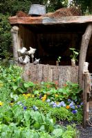 Rustic wooden shelter in vegetable garden with rows of Calendula - Marigolds, Phaseolus - Beans and Viola - 'A Child's Garden in Wales', Silver Medal Winner, RHS Chelsea Flower Show 2011 