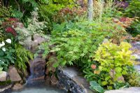 Waterfall surrounded by Acers in 'A Beautiful Paradise (Making memories with a green poem)' garden - Silver Medal Winner, RHS Chelsea Flower Show 2011
 