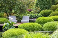 Patio under tree surrounded by mounds of clipped Buxus - Box, Hakonechloa macra and Arum Lily in 'The Irish Sky Garden' - Gold Medal Winner, RHS Chelsea Flower Show 2011