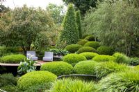 Patio under tree surrounded by mounds of clipped Buxus - Box, Hakonechloa macra, Carpinus betulus - Hornbeam, Betula and Arum Lily in 'The Irish Sky Garden' - Gold Medal Winner, RHS Chelsea Flower Show 2011