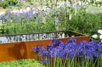 Cor-Ten steel water trough under Betula - Birch tree and surrounded by Agapanthus and Verbena bonariensis -  'Vestra Wealth's Gray's Garden' - RHS Hampton Court Flower Show 2011