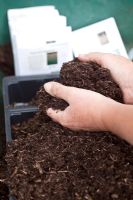 Sowing Ornamental Grass seed