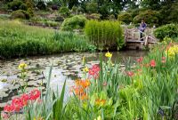 Pond, Iris and Primula sieboldii 'A la Carte' at RHS Garden Wisley with visitor on bridge in background
