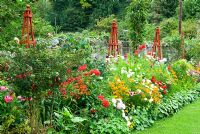 Decorative border punctuated by red wooden obelisks featuring brightly coloured Dahlias, Rudbeckia 'Marmalade', Aster 'Ostrich Plume Mixed', Cosmos 'Purity', Crocosmias and an edging of Alchemilla mollis. The Shute, nr Ventnor, Isle of Wight, UK