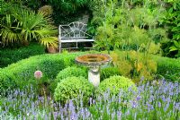 Small herb garden with seating and box hedging includes lavenders and fennel with a central birdbath