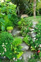 Stone steps seeded with ferns and erigeron, and framed with cordylines, figs and palms