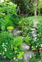 Stone steps seeded with ferns and erigeron, and framed with cordylines, figs and palms