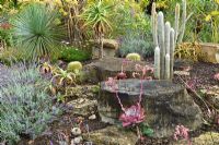 Sub-tropical plant displays and local Cotswold stone