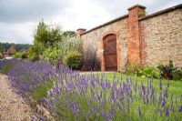 Lavender border in walled garden, The Round House