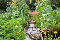 Red chair on path of vegetable garden with Sunflowers, with produce in wire trug 
