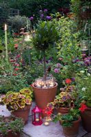 Various tealights with containers on terrace and in border - plants include Bay Tree, Geraniums, and Salvia