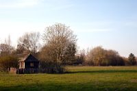 The water meadow - Mill House, Wylye Valley, Wiltshire