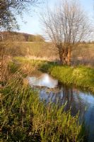 One of the streams running through the water meadow - Mill House, Wylye Valley, Wiltshire