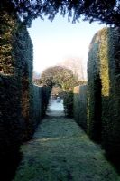 A grass corridor leads to the wild garden through two arches - Cantax House, Lacock, Wiltshire UK 