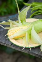Picked sweetcorn 'lapwing' on plate