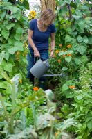 Woman watering vegetable garden using watering can