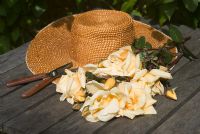 Cut yellow Roses with sunhat